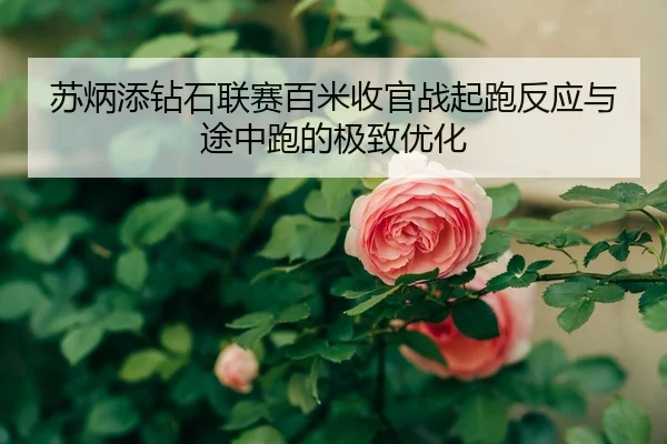 su-bing-tian-zuan-shi-lian-sai-bai-mi-shou-guan-zhan-qi-pao-fan-ying-yu-tu-zhong-pao-de-ji-zhi-you-hua-2-308.jpg