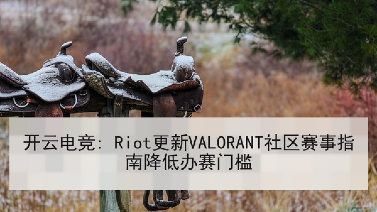 开云电竞: Riot更新VALORANT社区赛事指南降低办赛门槛