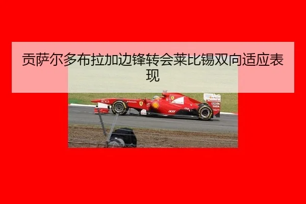 gong-sa-er-duo-bu-la-jia-bian-feng-zhuan-hui-lai-bi-xi-shuang-xiang-shi-ying-biao-xian-2-387.jpg