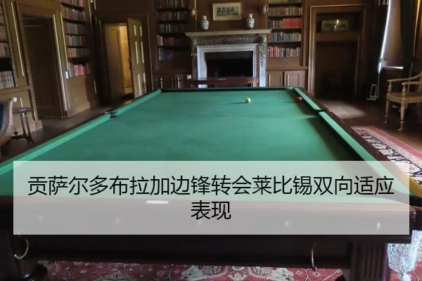 gong-sa-er-duo-bu-la-jia-bian-feng-zhuan-hui-lai-bi-xi-shuang-xiang-shi-ying-biao-xian-3-713.jpg