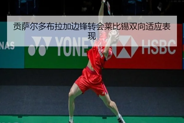 贡萨尔多布拉加边锋转会莱比锡双向适应表现